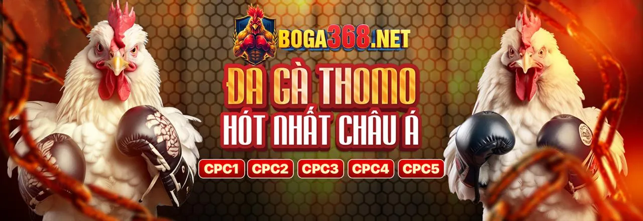 Hình ảnh đại diện cho chính sách GDPR và bảo mật dữ liệu tại 6bet casino